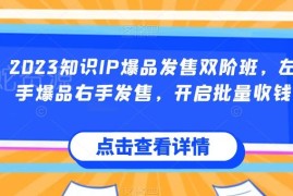 2023知识IP爆品发售双阶班 全流程爆品打造与高转化实操教程