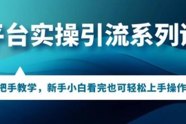多平台引流实操保姆级课程 新手小白可快速上手各平台引流玩法