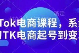 TikTok电商系统课程 从起号运营到变现全流程实操教学
