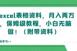 Excel虚拟资料售卖实操教程 新手可操作附全套配套资料