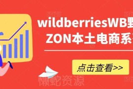 俄罗斯WB野莓/OZON本土电商运营 产品优化出单实操系列课