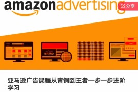 2024亚马逊广告系统进阶课程 从入门到高阶全流程实操教学
