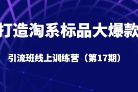 第17期淘系标品爆款引流训练营 5天视频号直播带货实操课程