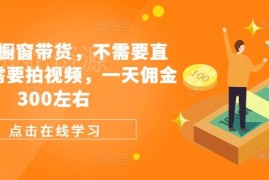 2024视频号橱窗带货新玩法 无需直播拍视频日均佣金可达300元