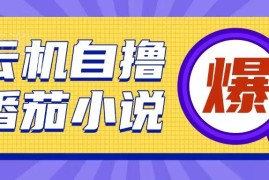 首发云手机自撸小说玩法教程 10元成本获200+收益实操解析