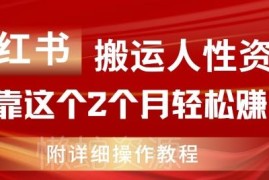 小红书搬运人性资料虚拟项目玩法 2个月赚11万实操教程详解