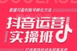 抖音运营实操班课程 掌握盈利账号孵化方法打造低成本获客系统