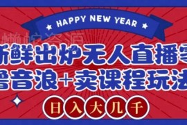 2024抖音无人直播实操玩法 零撸音浪+卖瑜伽课赚钱攻略