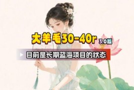 流量体联盟蓝海羊毛项目解析 单账号单期赚30-40元可矩阵操作适合新手