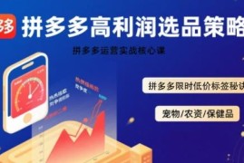 2025拼多多高利润选品实战课 限时低价标签玩法全拆解