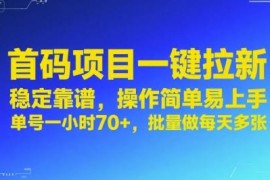 首码一键拉新项目实操指南 稳定易上手单号单小时收益超70元