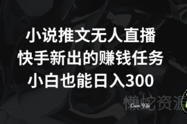 快手小说推文无人直播赚钱项目解析 新手也可轻松上手实操
