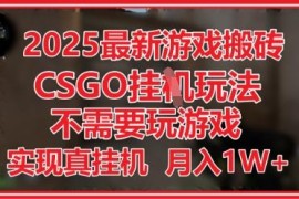 2025年CSGO游戏搬砖项目详解 无需玩游戏手机操作可月入过万