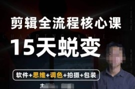 阿晖全能剪辑高手训练营 剪辑调色拍摄包装五合一系统课程