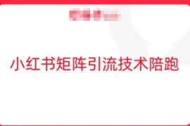 2024小红书矩阵引流实操教程 玩转公域流量高效导流私域