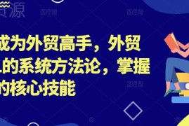 外贸从0到1系统教程 零基础入门到创业核心技能学习指南