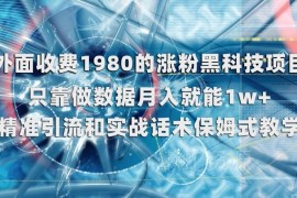售价1980元涨粉数据包装项目拆解 个人实操可月入超1万
