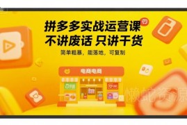 拼多多实战运营干货教程 可落地复制的店铺爆单实操课程