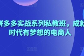 2025拼多多实战系列私教班 电商运营实操技能系统培训