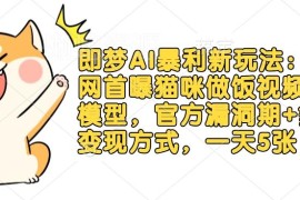 即梦AI猫咪做饭视频项目拆解 红利期多变现方式操作指南