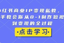 小红书商业IP变现私教课 从0到1短视频运营变现全流程教学