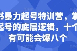 小红书暴力起号特训营教程 掌握底层逻辑提升爆款笔记概率