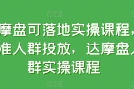 达摩盘落地实操系统课程 精准人群投放运营全流程教学