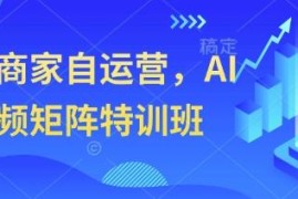 实体商家AI短视频矩阵特训班 从零掌握获客引流全流程技巧