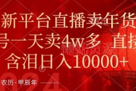 年末新平台直播卖年货实操指南 低门槛上手单日收益可达万元