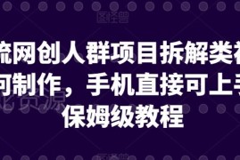 网创人群引流用项目拆解视频怎么制作 手机可操作保姆级教程