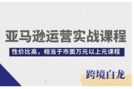 亚马逊运营从入门到精通实战课 全流程实操开店运营技能提升教程