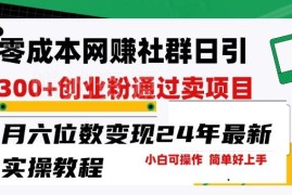 2024零成本网创群日引300创业粉变现实操教程详解