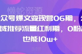AI公众号爆文变现营06期教程 0粉起号抓公域流量红利冲10w+