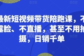 2024短视频带货陪跑课 不露脸不直播无需拍摄零门槛出单教程
