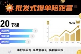 批发式爆单陪跑营20节实操课 从引流到成交助力业绩稳定增长