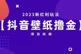 2023抖音壁纸小程序创作者撸金红利项目玩法拆解