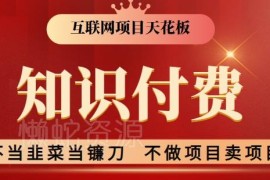 2024知识付费实操项目教程 新手可落地的高收益变现方法