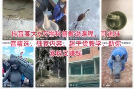 抖音万物科普解说系统课程 可入精选多平台适配助力涨粉变现