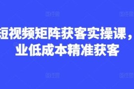 2025AI短视频矩阵获客实操课 企业低成本精准获客全教程