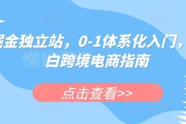跨境独立站0-1体系化入门指南 小白跨境电商实操教程