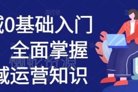 0基础私域运营入门系统课 全模块覆盖从0到1实操技巧
