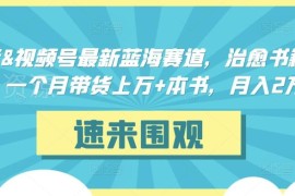 抖音及视频号治愈书籍带货蓝海赛道解析 新手易上手月入2万+