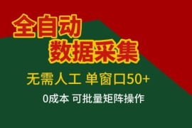 全自动无人工数据采集项目详解 单人可做矩阵操作简单收益稳定