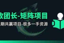 团长合作视频矩阵项目详解 招募发手及剪辑师共赢拿收益