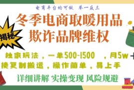 电商冬季取暖类违规店铺合法投诉索赔项目玩法完整揭秘