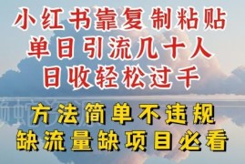 小红书无违规复制粘贴引流玩法 单日引流数十人可实现日入过千