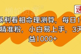 命理测算引流变现项目教程 小白易上手日引百粉三天收益超千