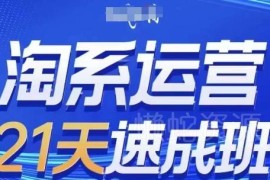 2024年8月更新 0基础21天速成淘系运营实操全教程