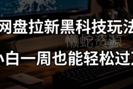 网盘拉新正规玩法实操教程 零基础小白一周可上手获收益