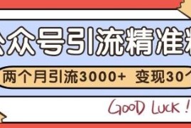 公众号精准粉引流实操玩法 2个月涨粉3000+变现30万经验拆解